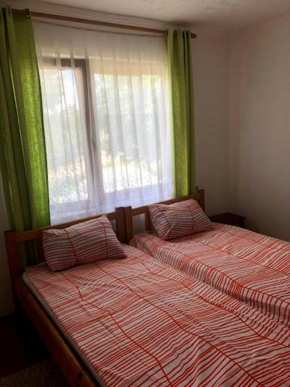 Privatni Smestaj Dobri Dobrosin Bagian luar foto