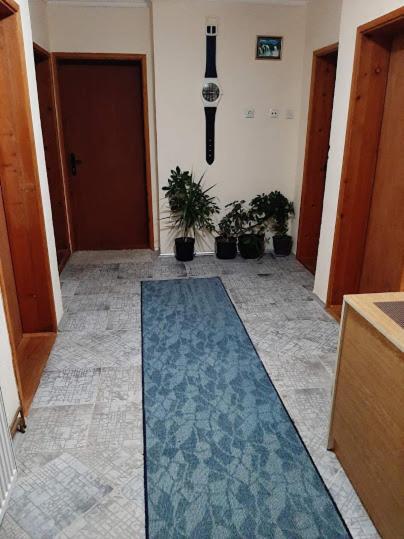 Privatni Smestaj Dobri Dobrosin Bagian luar foto